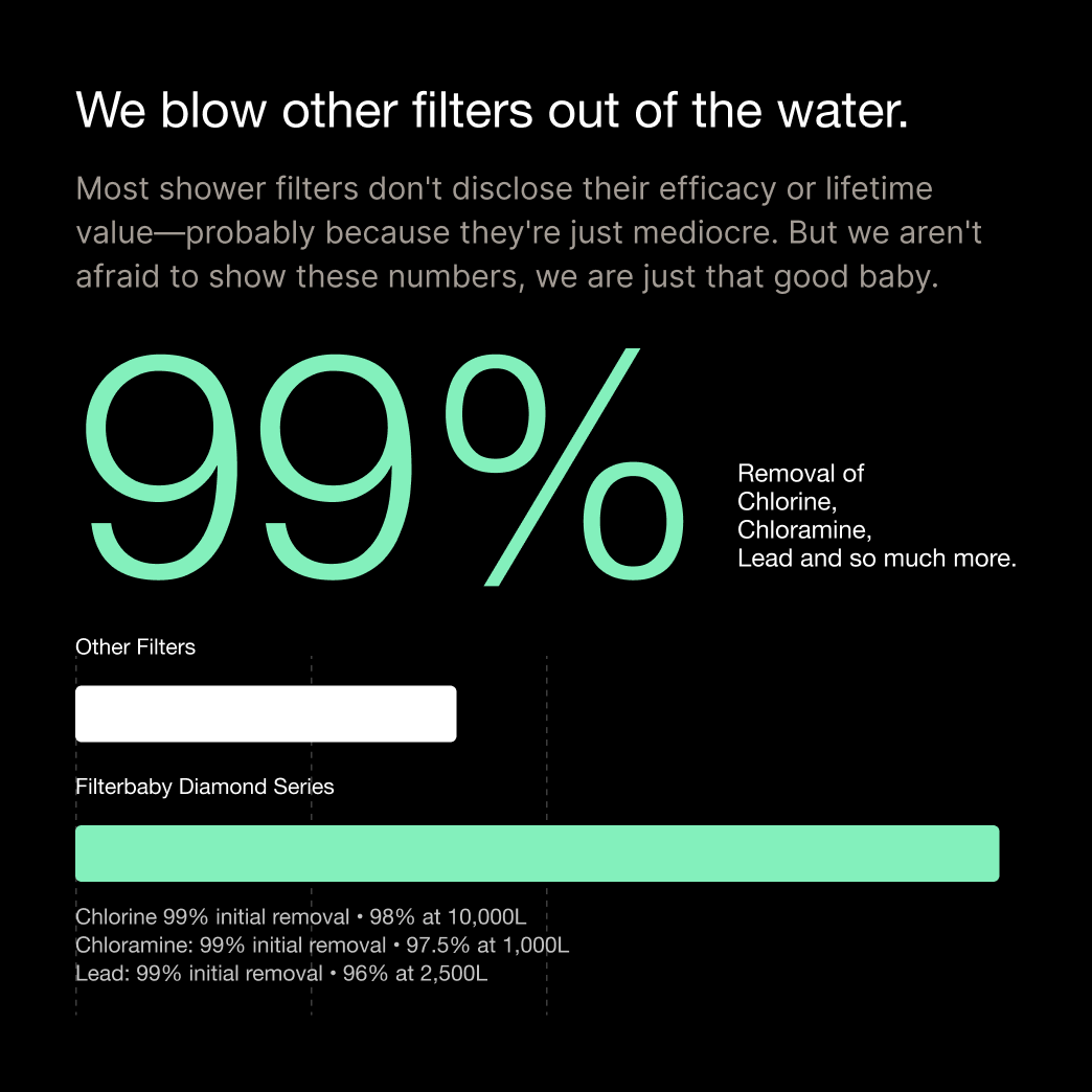 Filterbaby Chrome Showerhead Filter